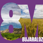 La Coordinadora de Asociaciones de Mujeres de Los Monegros celebrará el próximo 8 de marzo en Bujaraloz la Entrega del Premio Gabardera 2026, un reconocimiento que distingue la trayectoria, el esfuerzo y la capacidad de innovación de mujeres o colectivos que, desde el ámbito rural, contribuyen activamente al progreso y dinamización de la comarca.